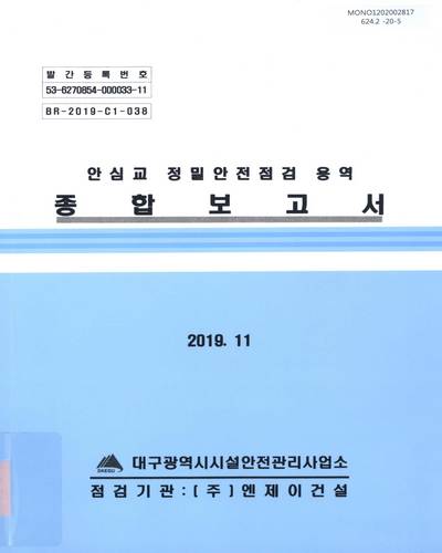 안심교 정밀안전점검 용역 종합보고서