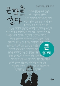 문학을 걷다 : 김윤식이 만난 문학 이야기 : 큰글자책