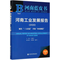 河南工业发展报告 = Annual report on industrial development of Henan. 2020, 聚焦 