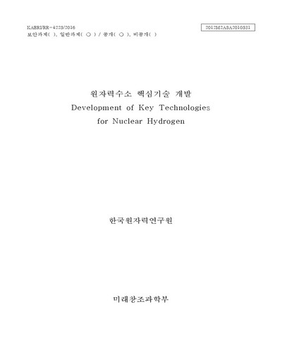 원자력수소 핵심기술 개발 [전자자료]