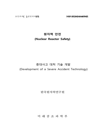 중대사고 대처 기술 개발 [전자자료]