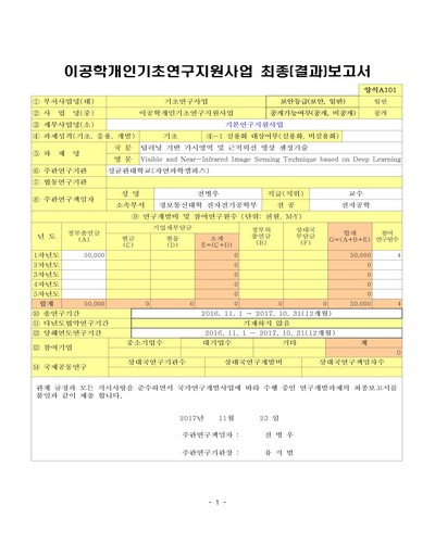 딥러닝 기반 가시영역 및 근적외선 영상 센싱기술 [전자자료]