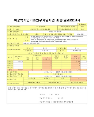 저칼륨혈증 Atg7 결핍생쥐에서 canonical autophagy와 non-canonical autophagy에 미치는 lysosome의 역할 [전자자료]