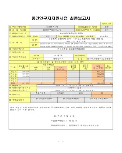 신경조직 손상에서 SIRT1-HIF-2α 조절축의 역할 규명 및 표적 기반 융합 연구 [전자자료]