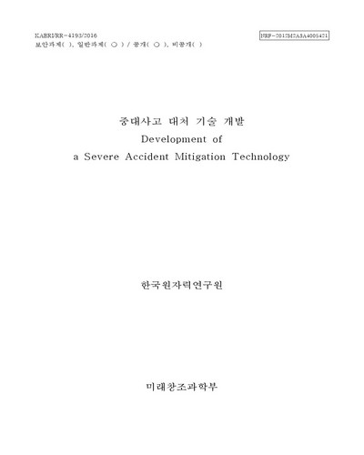 중대사고 대처 기술 개발 [전자자료]