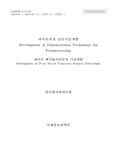 파이로 폐기물처리공정 기술개발 [전자자료]