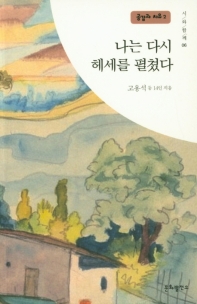 나는 다시 헤세를 펼쳤다
