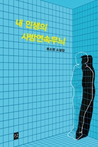 내 인생의 사방연속무늬 : 류소영 소설집