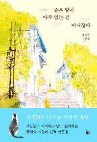 좋은 일이 아주 없는 건 아니잖아 : 황인숙 산문집