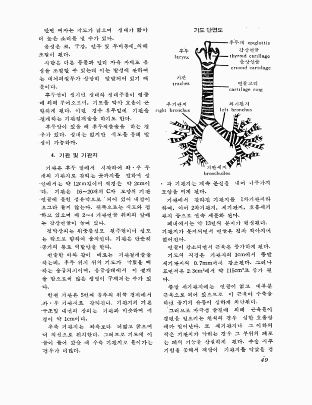 미리보기 이미지 3번째