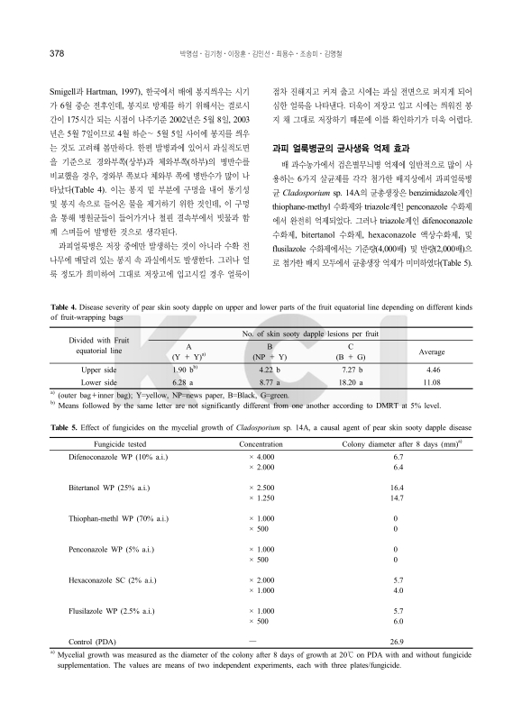 미리보기 이미지 5번째