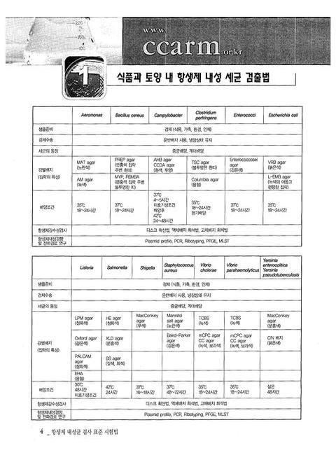 미리보기 이미지 5번째