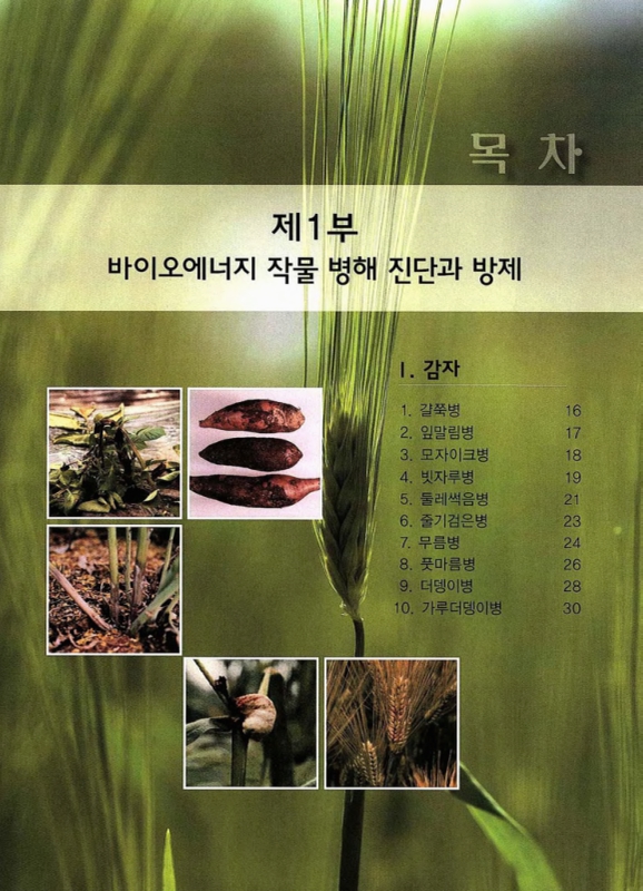 미리보기 이미지 3번째