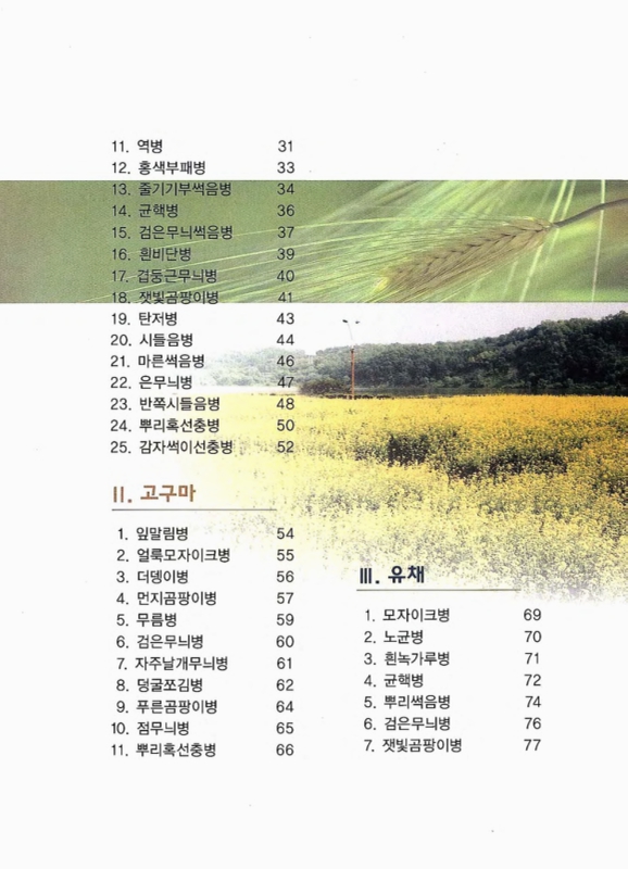미리보기 이미지 4번째