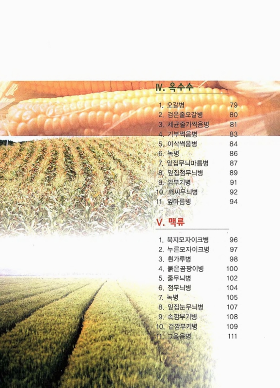 미리보기 이미지 5번째