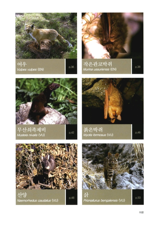 미리보기 이미지 4번째