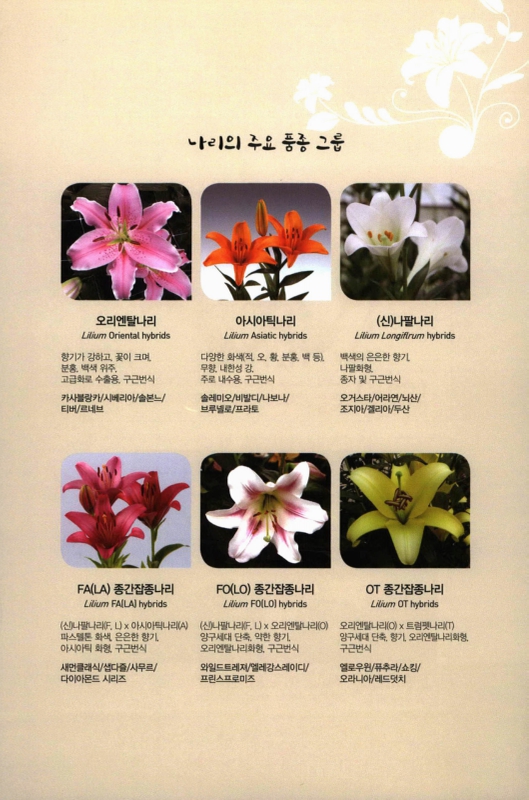 미리보기 이미지 5번째