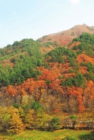 미리보기 이미지 1번째