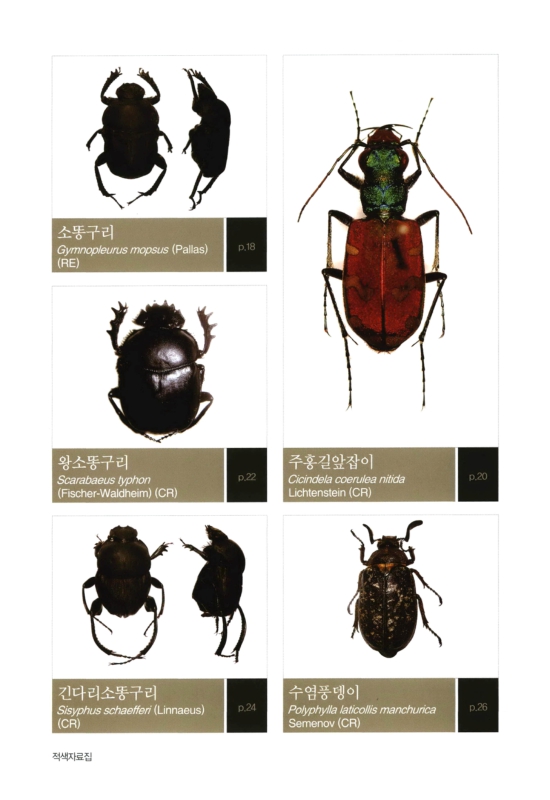 미리보기 이미지 3번째