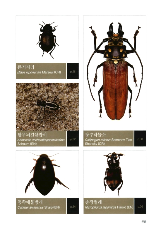 미리보기 이미지 4번째