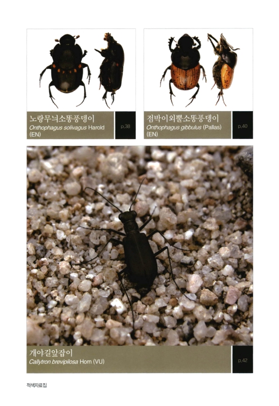 미리보기 이미지 5번째