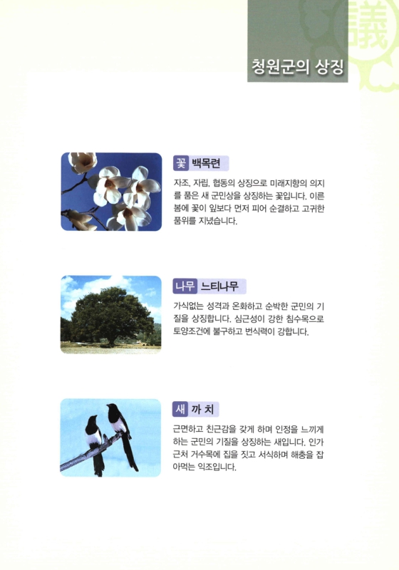 미리보기 이미지 5번째