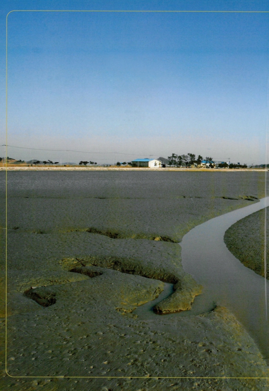 미리보기 이미지 2번째