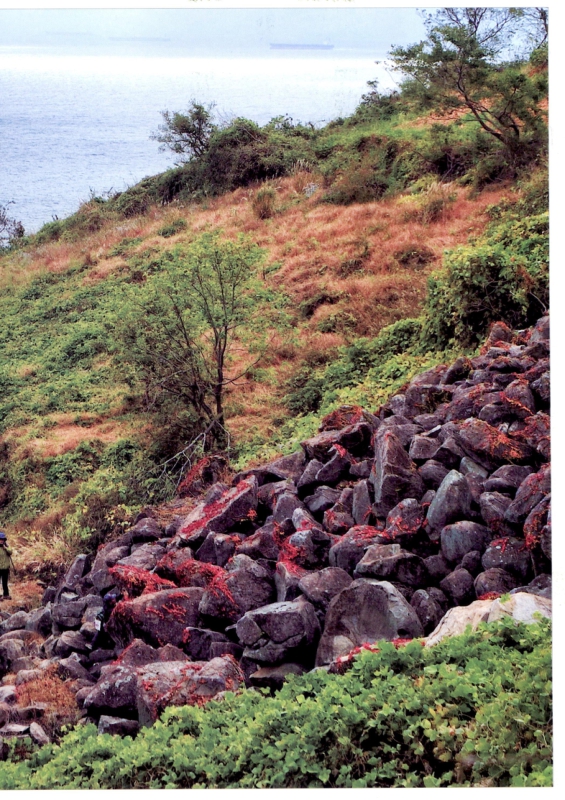 미리보기 이미지 3번째