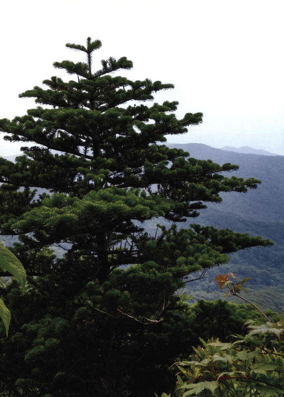 미리보기 이미지 4번째