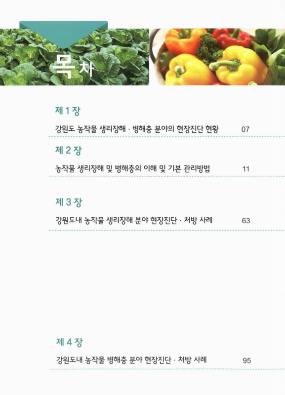 미리보기 이미지 4번째