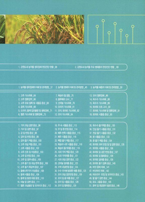 미리보기 이미지 5번째