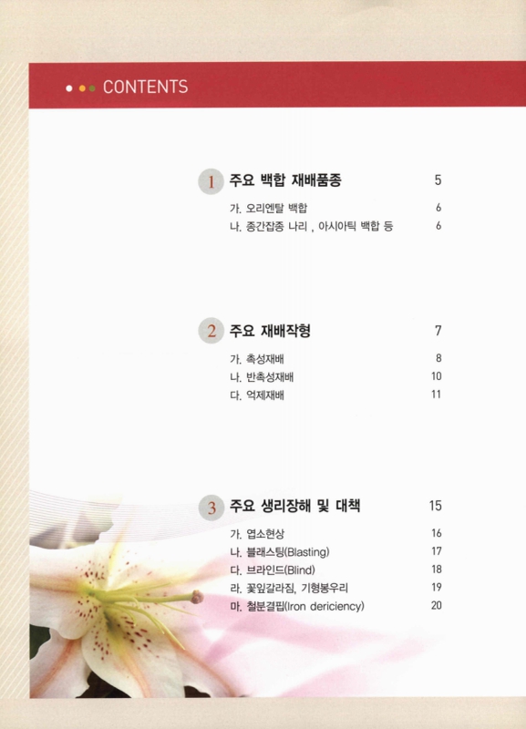 미리보기 이미지 2번째