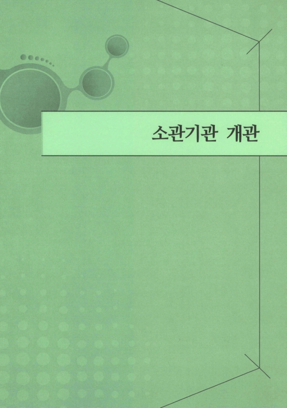 미리보기 이미지 5번째