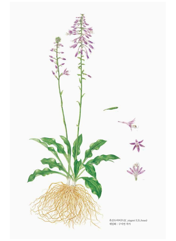 미리보기 이미지 5번째