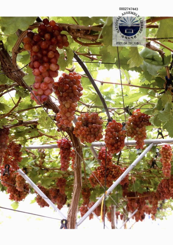 미리보기 이미지 2번째