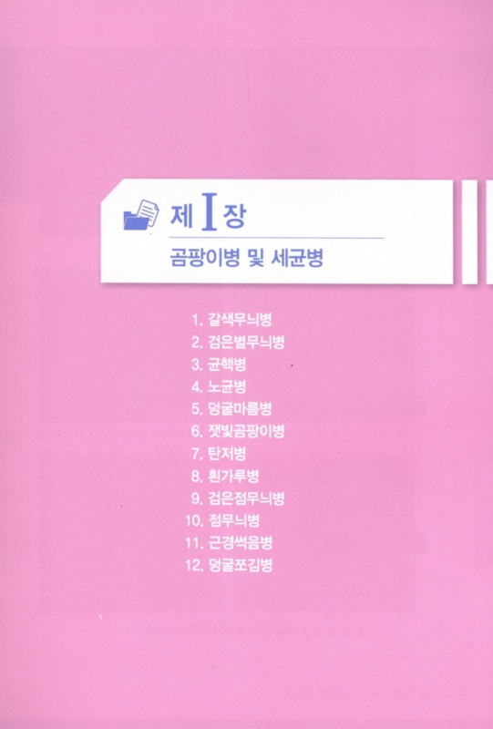 미리보기 이미지 5번째