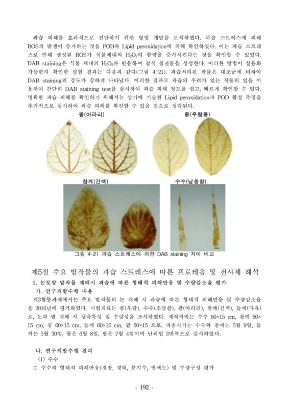 미리보기 이미지 4번째