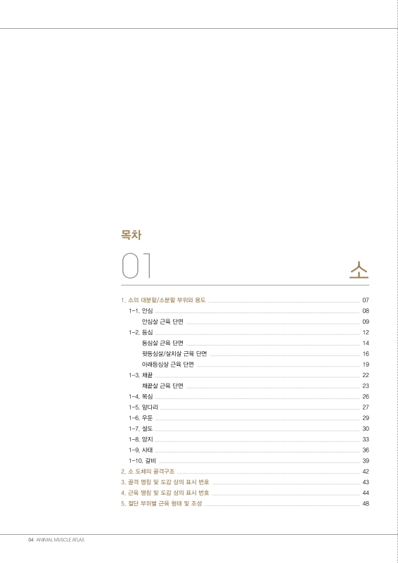 미리보기 이미지 3번째