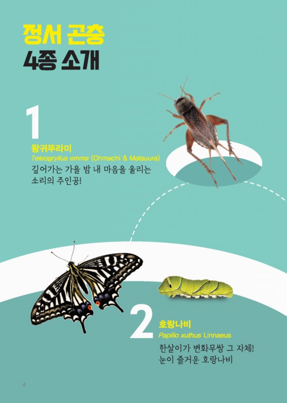 미리보기 이미지 4번째