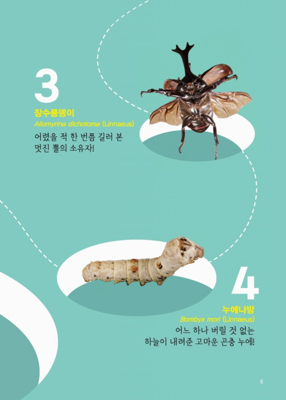 미리보기 이미지 5번째