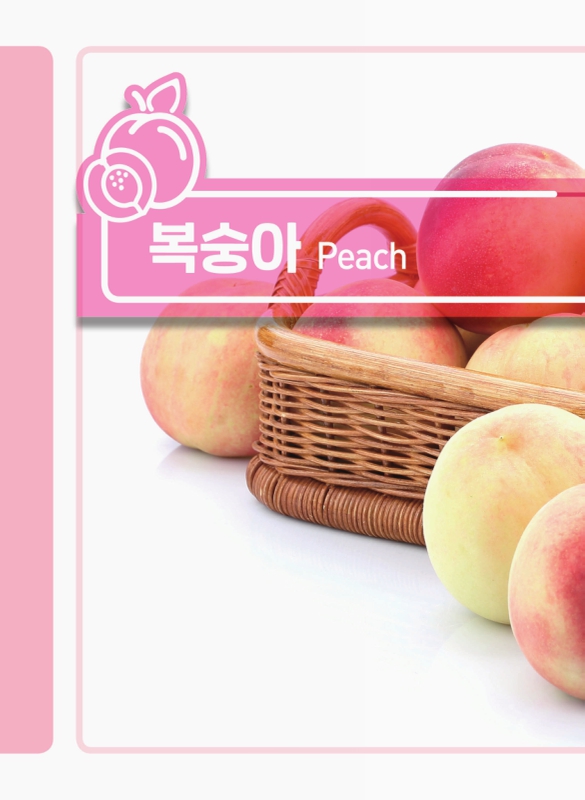 미리보기 이미지 5번째