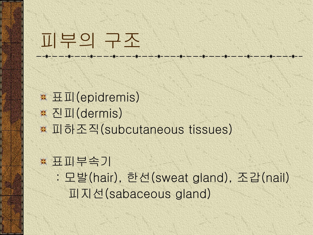 미리보기 이미지 3번째