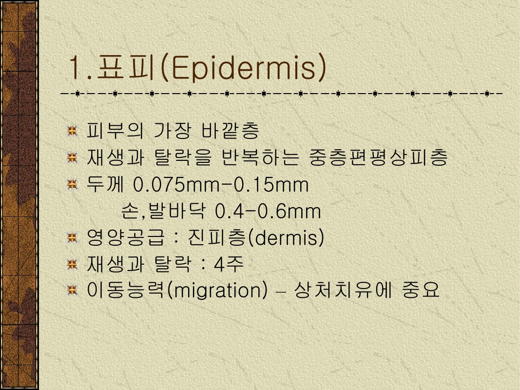 미리보기 이미지 5번째