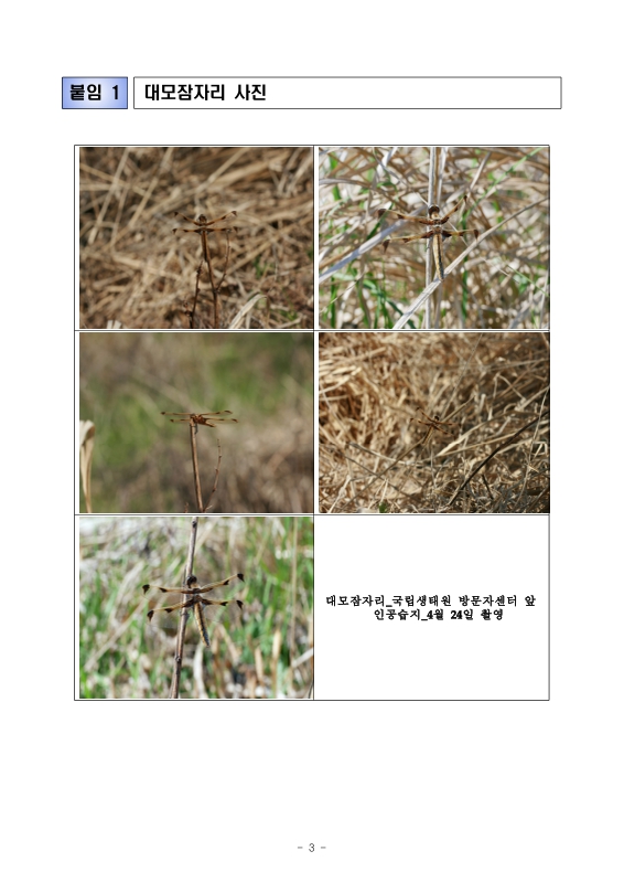 미리보기 이미지 3번째