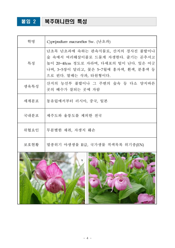 미리보기 이미지 4번째