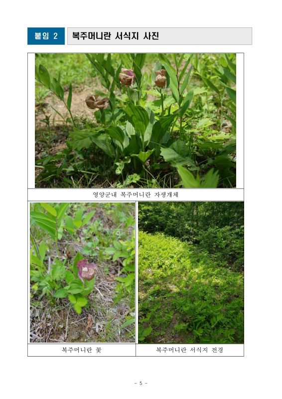 미리보기 이미지 5번째