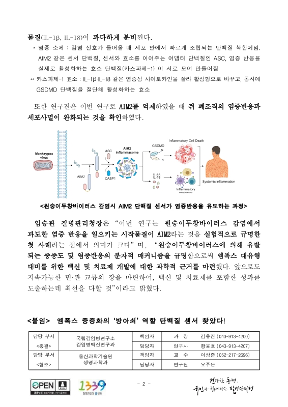 미리보기 이미지 2번째