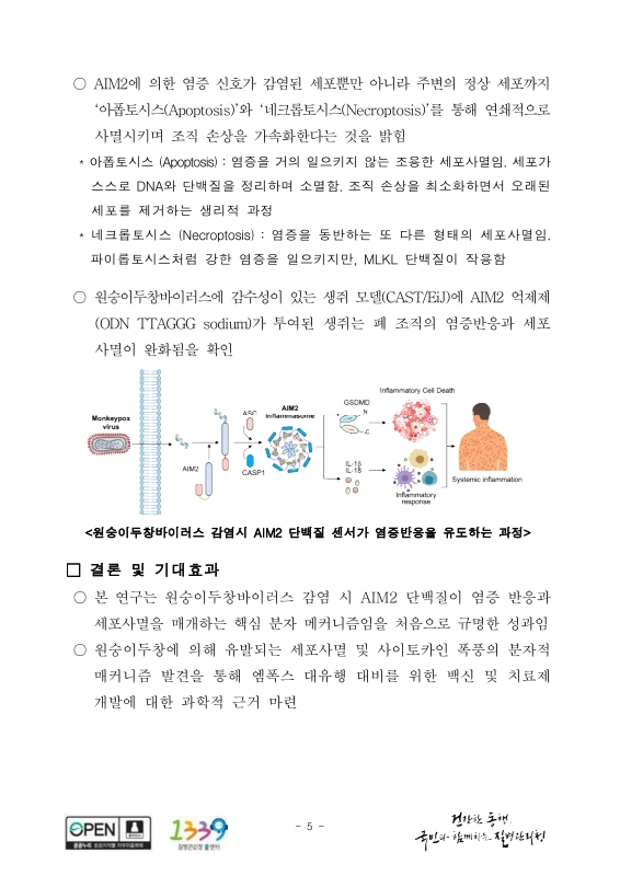 미리보기 이미지 5번째