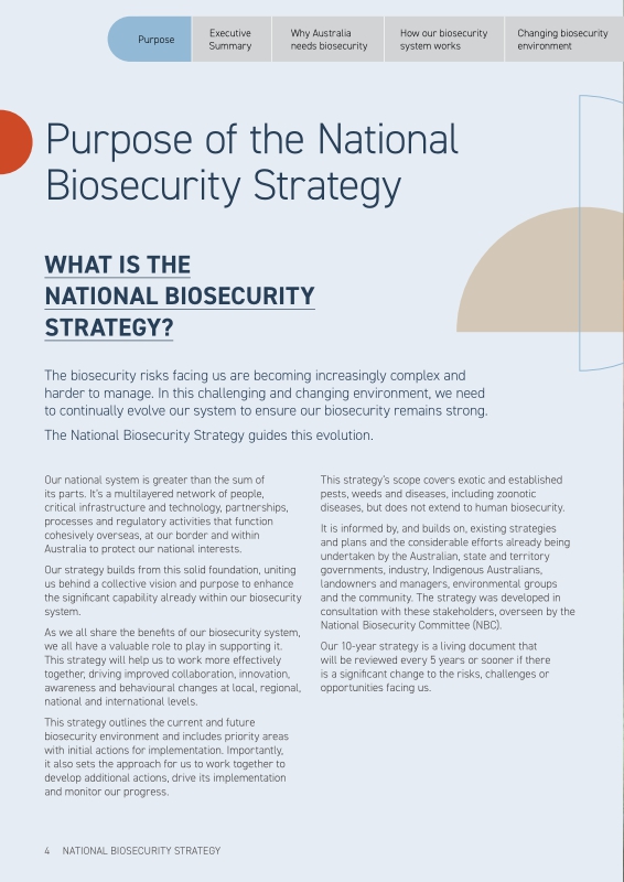 미리보기 이미지 4번째