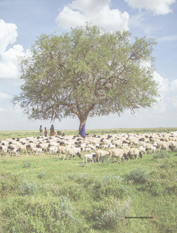 미리보기 이미지 2번째